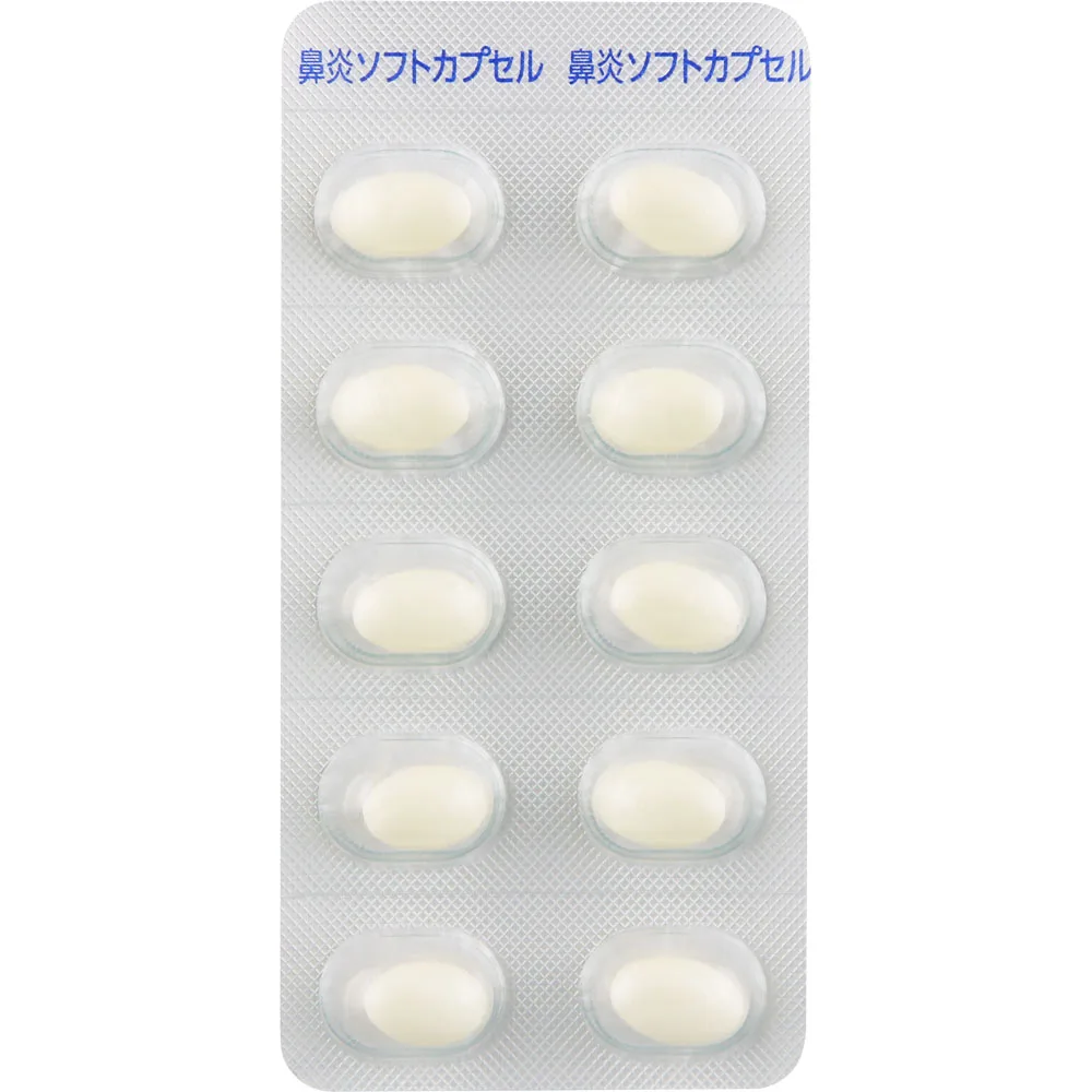 新ビエンリックＰＥソフト（内装）